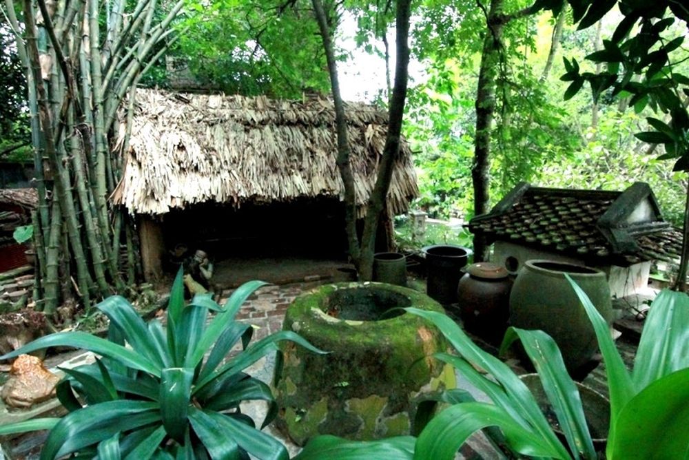 Hình ảnh có liên quan