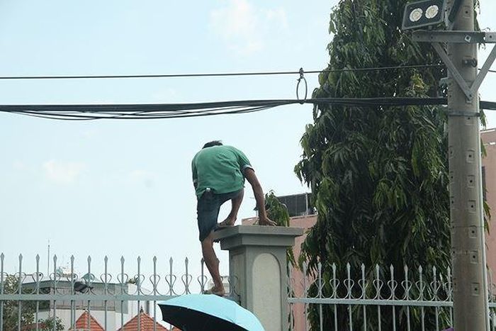 Biển người rước kiệu Bà Thiên Hậu, tranh nhau trèo lên mái nhà